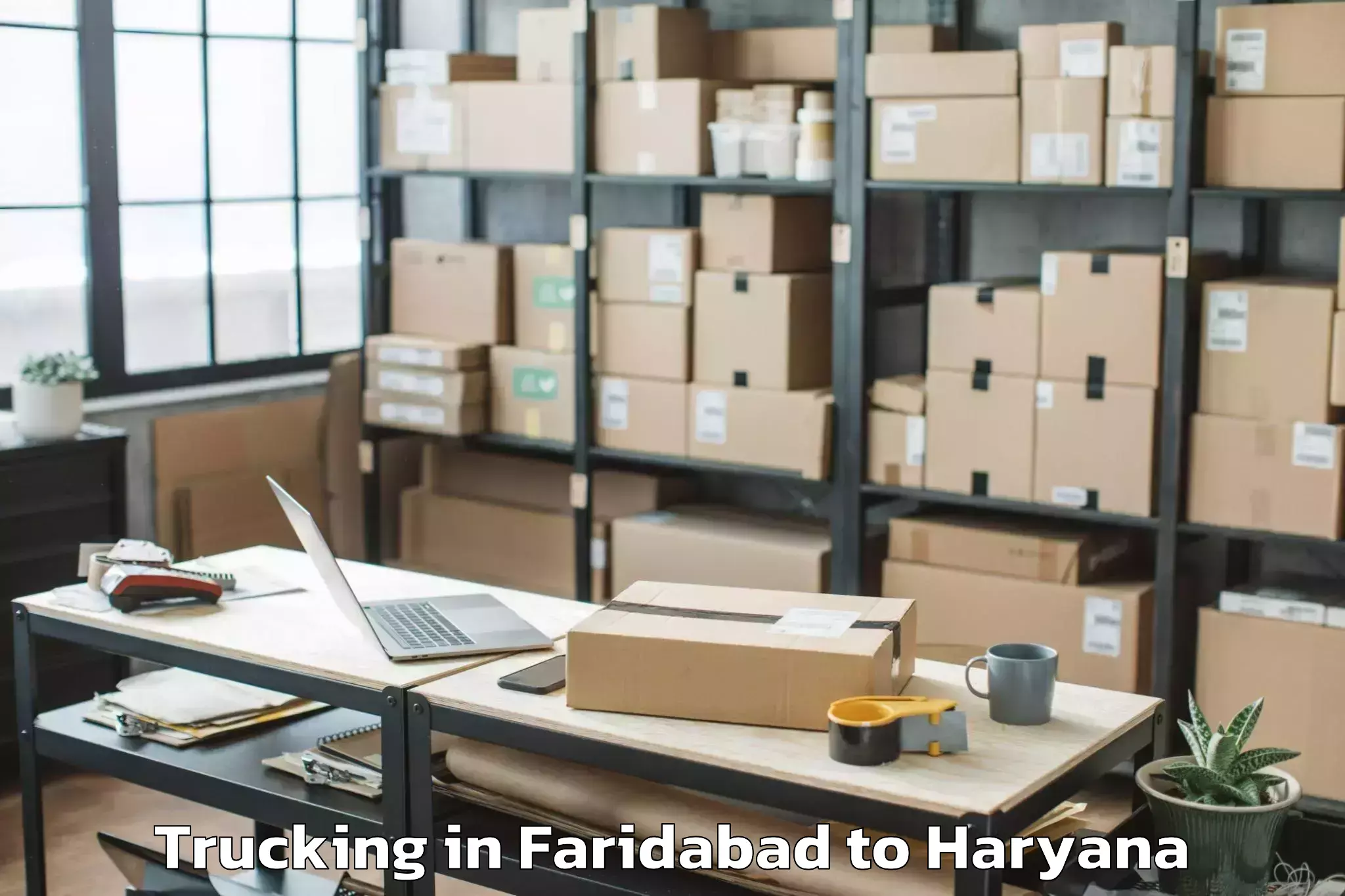 Leading Faridabad to Mvn University Palwal Trucking Provider